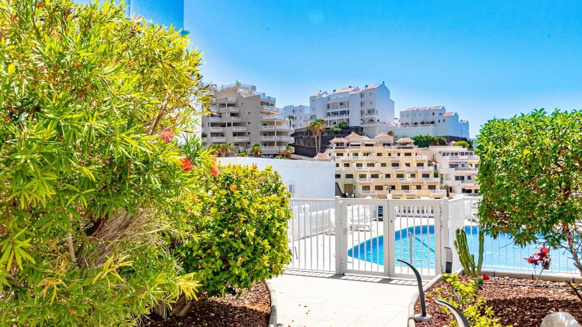 Sunny Oceanview Terrace By Dream Homes Tenerife Acantilado de los Gigantes 0*,